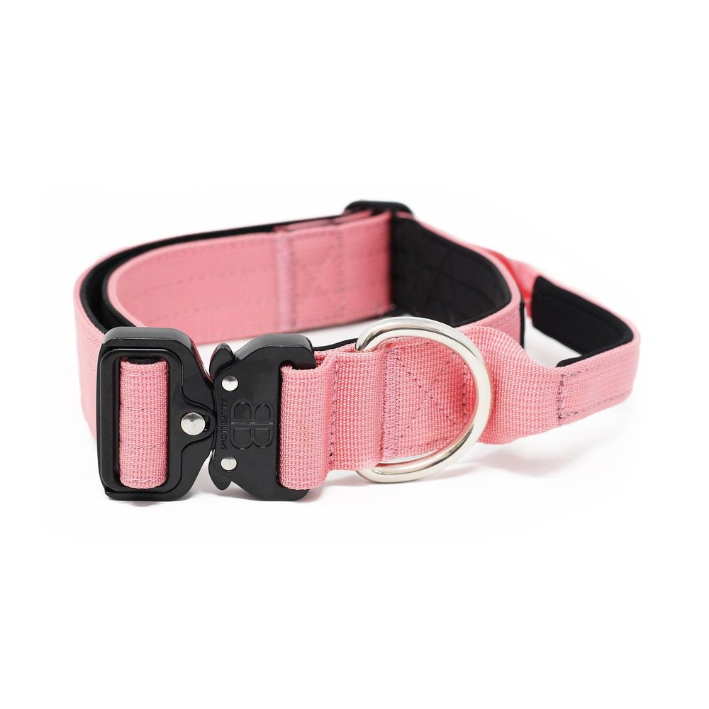 BullyBillows 4CM Combat Collar with handle The Dog Lounge