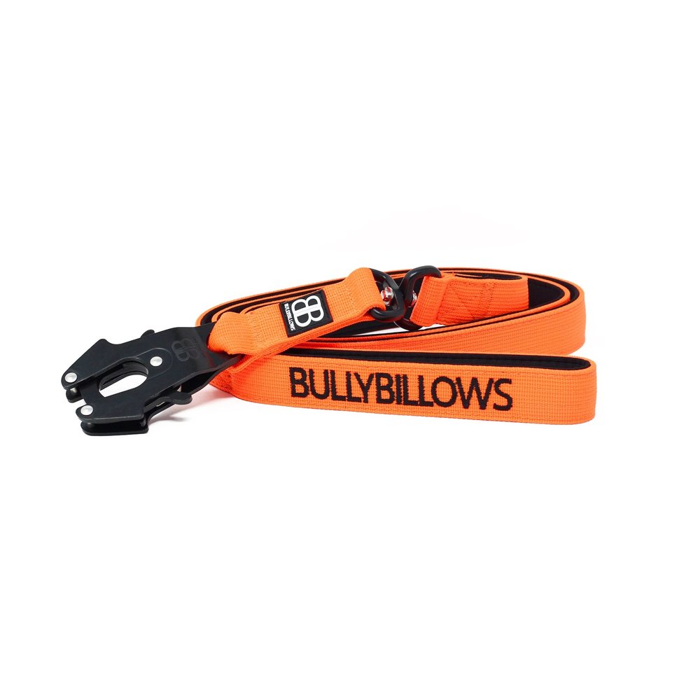 BullyBillows Bullybillows Swivel Combat Dog Lead 1.4m BullyBillows Bullybillows Swivel Combat Dog Lead 1.4m
