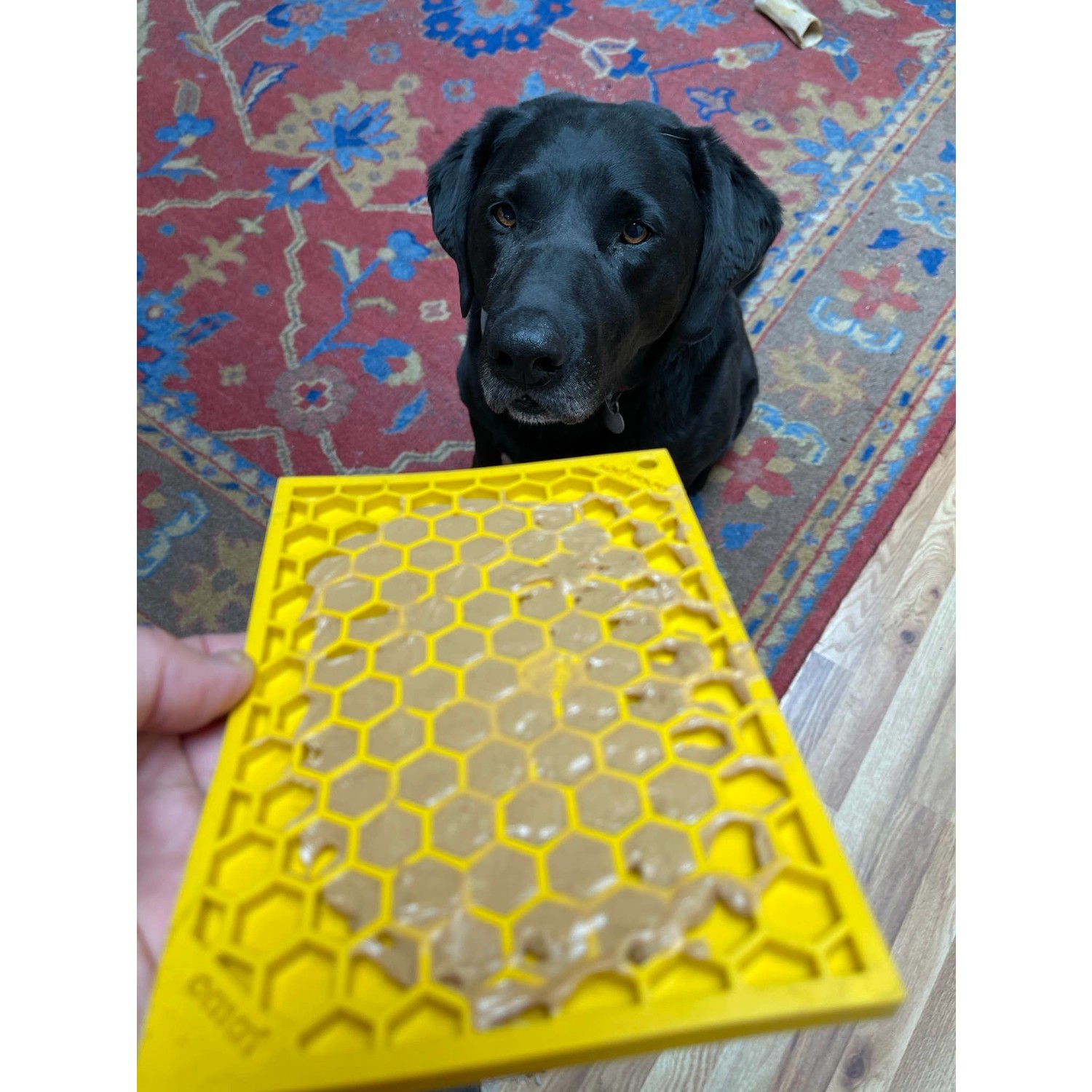 Sodapup Honey Comb Enrichment Lick Mat (Small) — Happy Dog Wellness