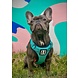 BullyBillows BullyBillows Premium Comfort Harness BullyBillows BullyBillows Premium Comfort Harness