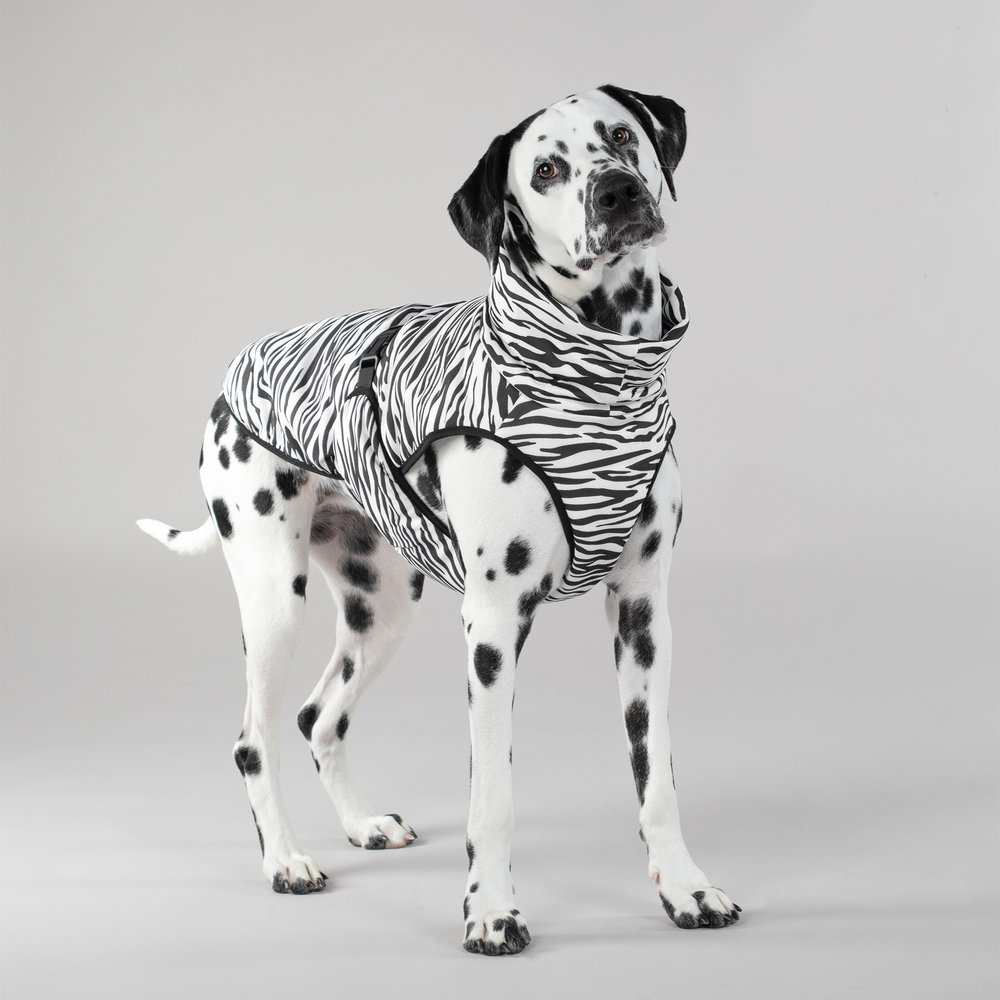 Paikka Paikka Cool & Bug Vest for Dogs