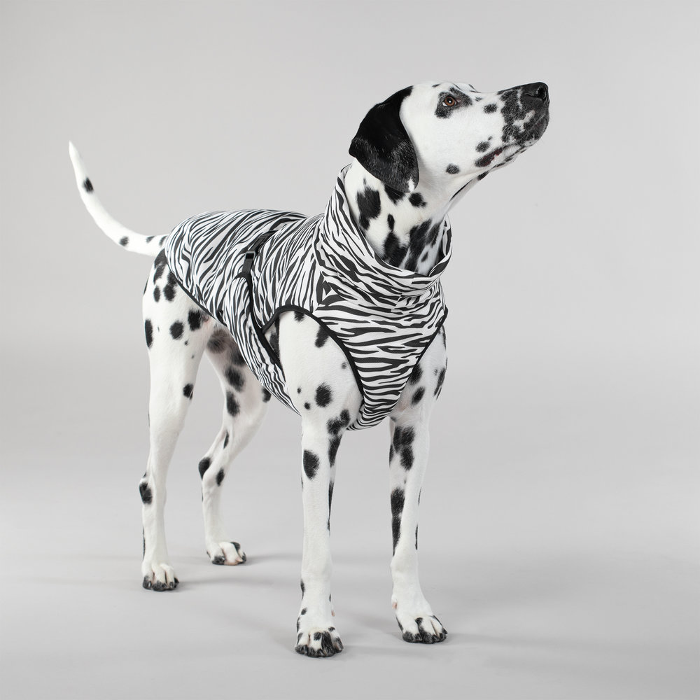 Paikka Paikka Cool & Bug Vest for Dogs