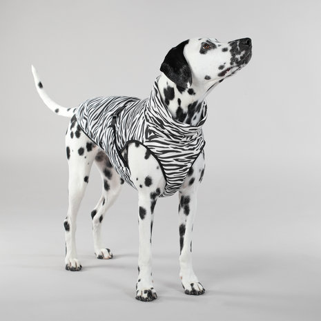 Paikka Paikka Cool & Bug Vest for Dogs