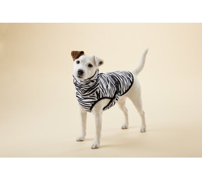 Paikka Paikka Cool & Bug Vest for Dogs