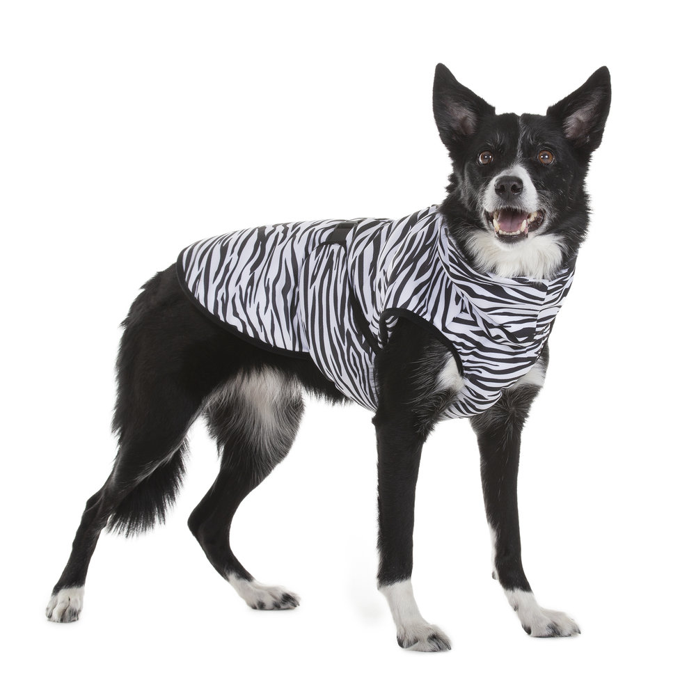 Paikka Paikka Cool & Bug Vest for Dogs