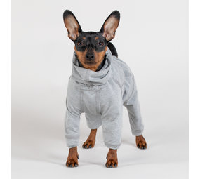 Paikka Paikka Recovery Overall