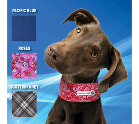 Aqua Coolkeeper Aqua Coolkeeper halsband OP=OP Aqua Coolkeeper Aqua Coolkeeper halsband OP=OP