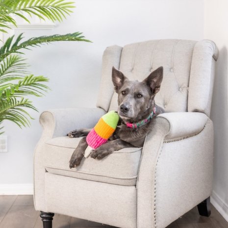 Huxley & Kent Huxley & Kent Lulubelles Power Plush Sherbert Pop