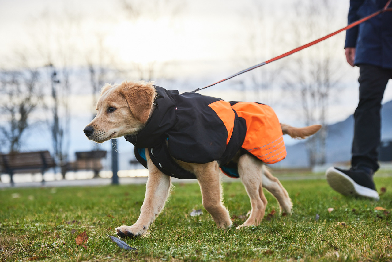 Non Stop Dogwear Non Stop Dogwear Glacier Jacket 2.0 Non Stop Dogwear Non Stop Dogwear Glacier Jacket 2.0