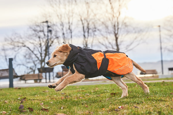Non Stop Dogwear Non Stop Dogwear Glacier Jacket 2.0 Non Stop Dogwear Non Stop Dogwear Glacier Jacket 2.0