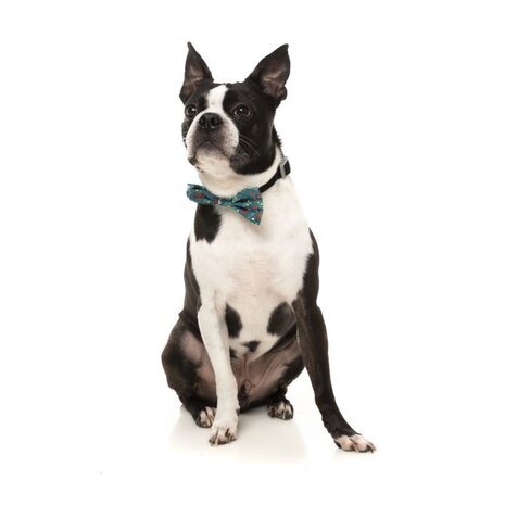 Fuzzyard Fuzzyard Xmas Bowtie – Ho Ho Howdie Fuzzyard Fuzzyard Xmas Bowtie – Ho Ho Howdie