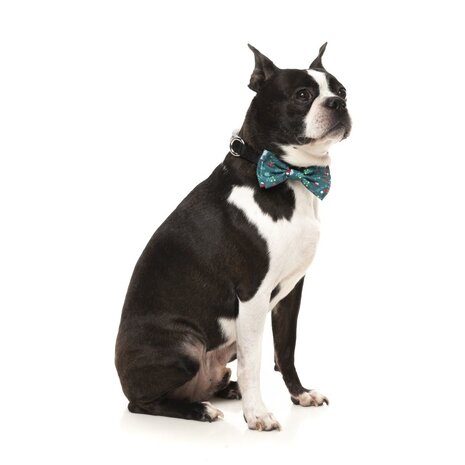 Fuzzyard Fuzzyard Xmas Bowtie – Ho Ho Howdie Fuzzyard Fuzzyard Xmas Bowtie – Ho Ho Howdie