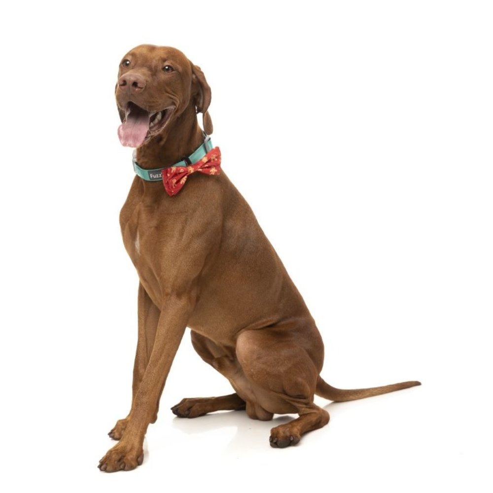 Fuzzyard Fuzzyard Xmas Bowtie – Naughty Ginger L