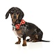 Fuzzyard Fuzzyard Xmas Bowtie – Naughty Ginger L