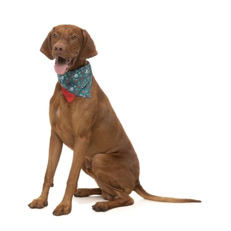 Fuzzyard Fuzzyard Xmas Bandana – Ho Ho Howdy Fuzzyard Fuzzyard Xmas Bandana – Ho Ho Howdy