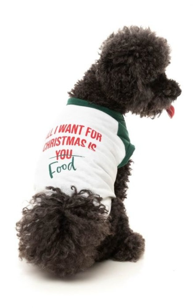 Fuzzyard Fuzzyard Xmas T-shirt All I Want For Christmas Is Food Fuzzyard Fuzzyard Xmas T-shirt All I Want For Christmas Is Food