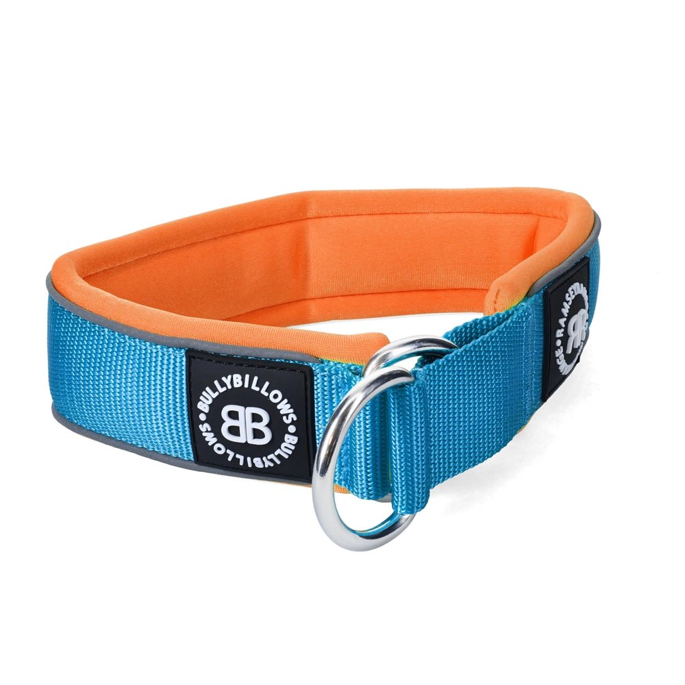 BullyBillows 5CM Ramsey Range 2tone The Dog Lounge