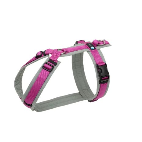 Anny-x Anny-x tuig Anny-x Anny-x tuig