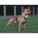 BullyBillows Bullybillows - Ramsey Range Slip on harness Light Blue & Orange BullyBillows Bullybillows - Ramsey Range Slip on harness Light Blue & Orange
