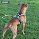 BullyBillows Bullybillows - Ramsey Range Slip on harness Blue & Turquoise BullyBillows Bullybillows - Ramsey Range Slip on harness Blue & Turquoise
