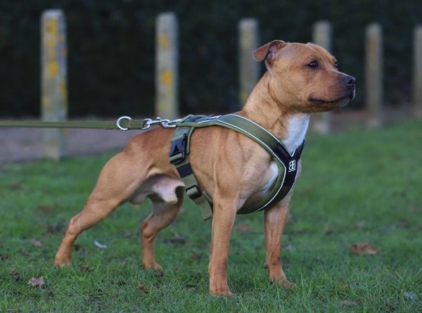 BullyBillows Bullybillows Slip on harness Metal Grey & Neon BullyBillows Bullybillows Slip on harness Metal Grey & Neon