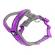 BullyBillows Bullybillows - Ramsey Range Slip on harness Purple & Metal Grey BullyBillows Bullybillows - Ramsey Range Slip on harness Purple & Metal Grey