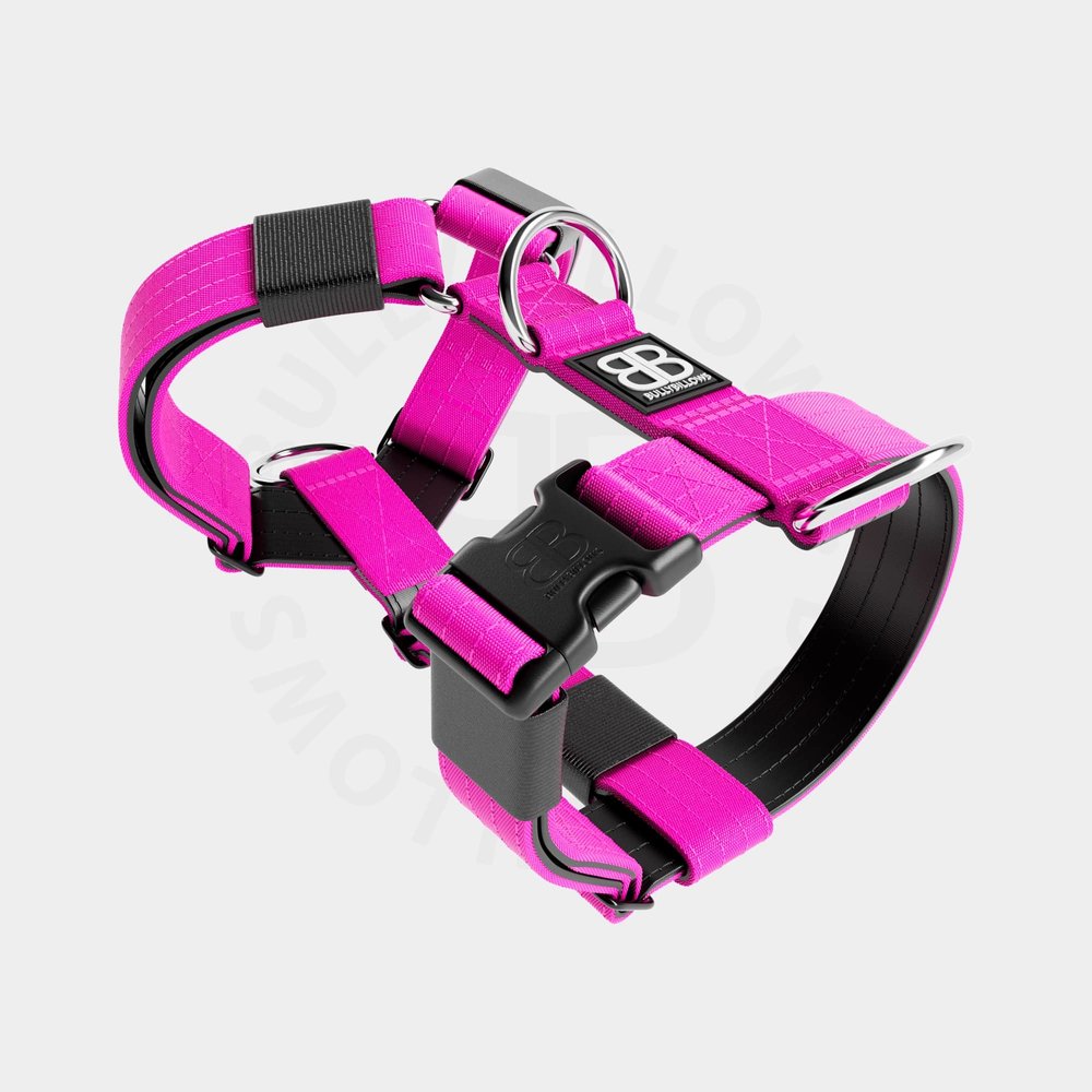 BullyBillows BullyBillows TRI-Harness (Anti-Pull) BullyBillows BullyBillows TRI-Harness (Anti-Pull)