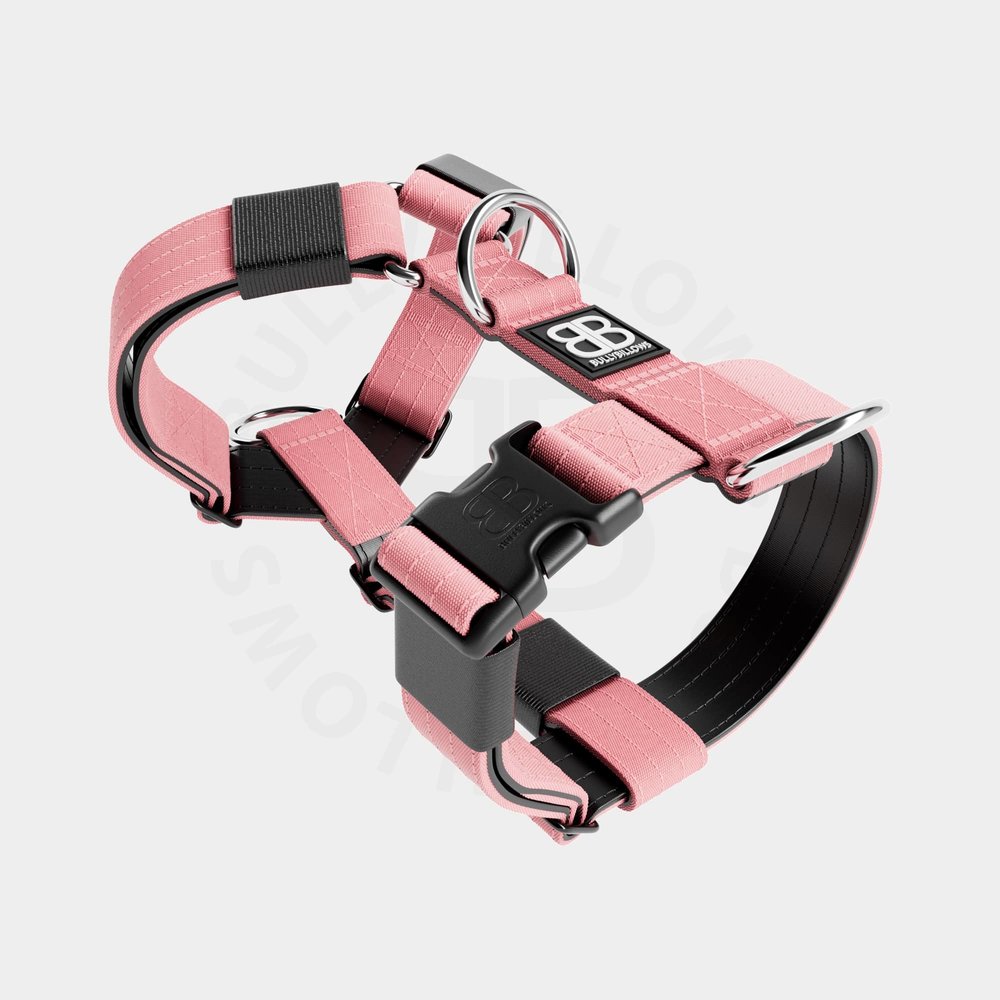 BullyBillows BullyBillows TRI-Harness (Anti-Pull) BullyBillows BullyBillows TRI-Harness (Anti-Pull)