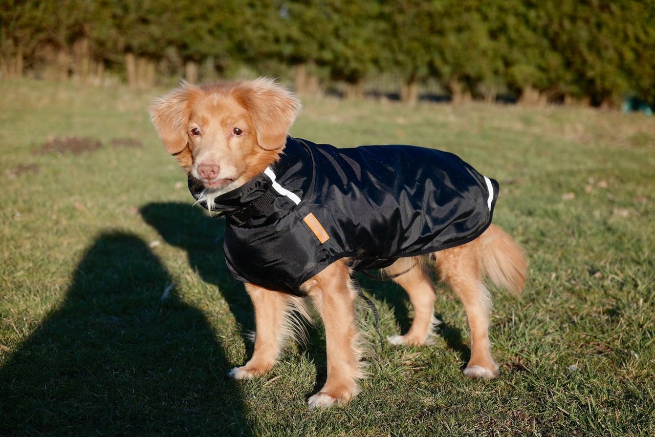 Superfur Superfur Rainy hondenjas Superfur Superfur Rainy hondenjas