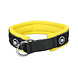 BullyBillows BullyBillows - 4CM Ramsey Range 2-tone BullyBillows BullyBillows - 4CM Ramsey Range 2-tone