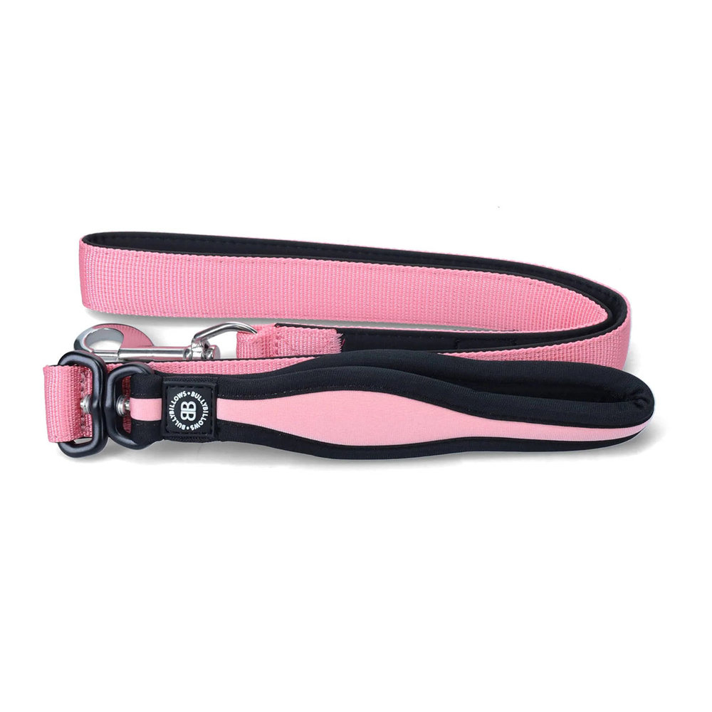 BullyBillows Bullybillows Nylon Snap Hook Dog Lead BullyBillows Bullybillows Nylon Snap Hook Dog Lead