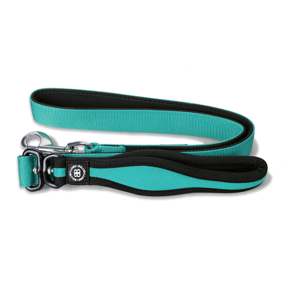BullyBillows Bullybillows Nylon Snap Hook Dog Lead BullyBillows Bullybillows Nylon Snap Hook Dog Lead
