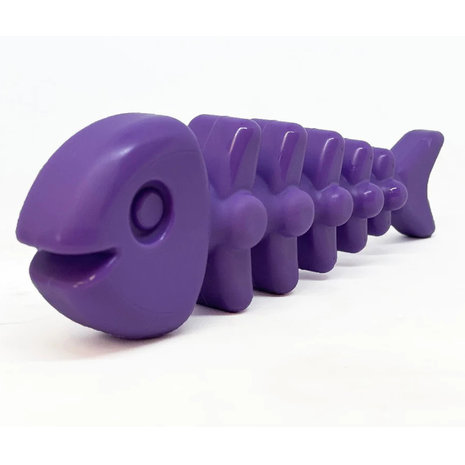 Sodapup Sodapup Fishbone Durable Nylon Chew Toy