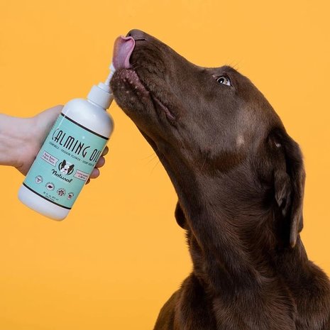 Natural Dog Company Natural Dog Company Calming Oil Supplement Natural Dog Company Natural Dog Company Calming Oil Supplement