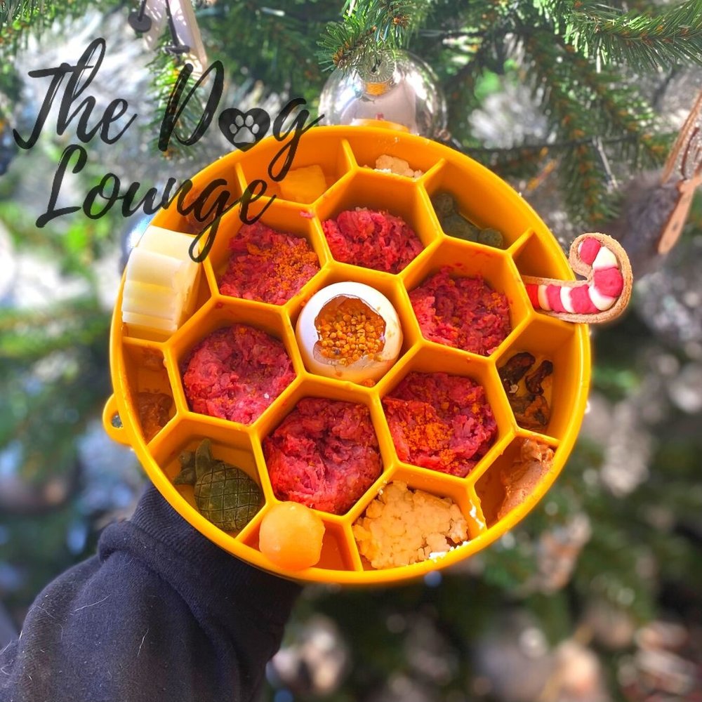 Sodapup Sodapup Honeycomb Slow Feeder Bowl Sodapup Sodapup Honeycomb Slow Feeder Bowl