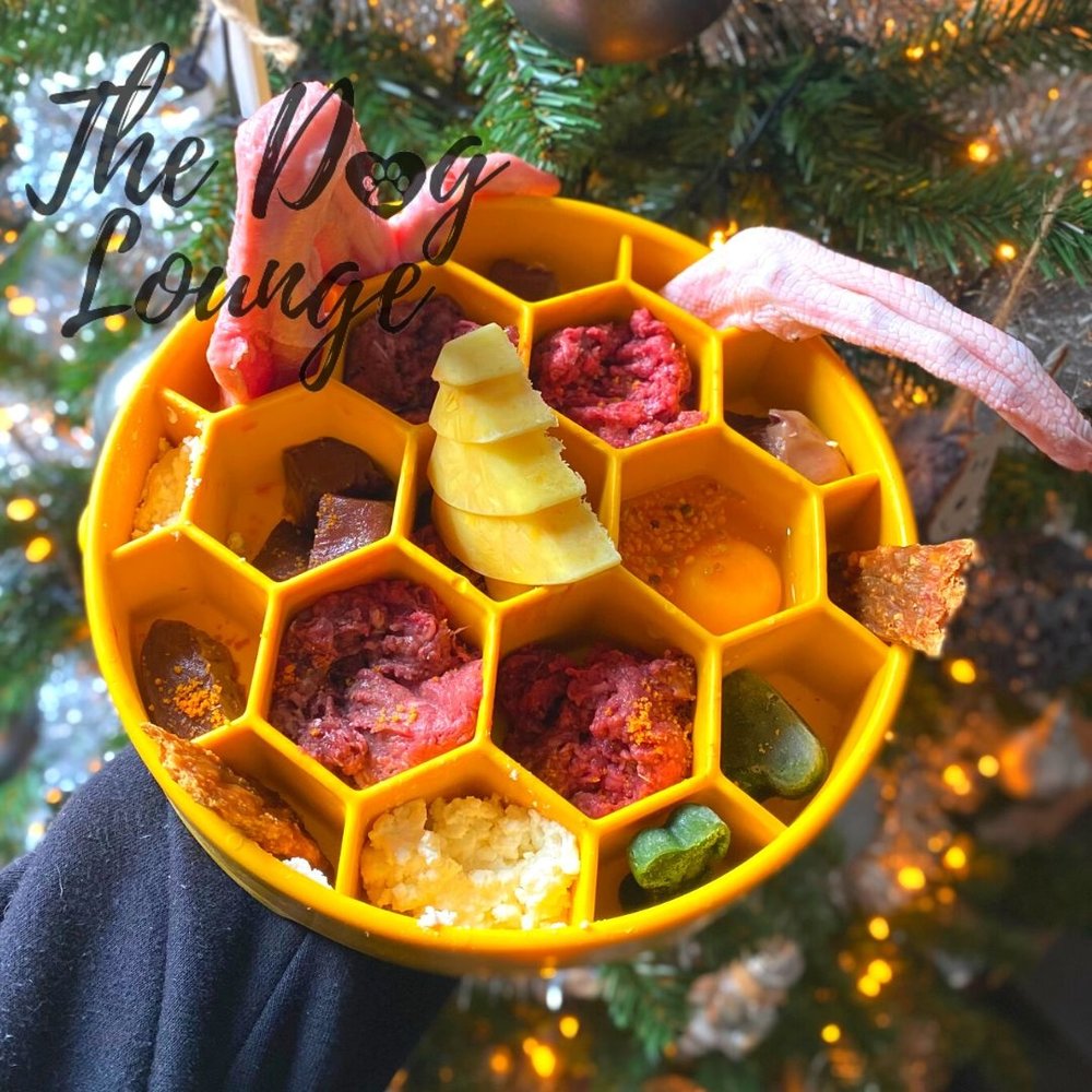 Sodapup Sodapup Honeycomb Slow Feeder Bowl Sodapup Sodapup Honeycomb Slow Feeder Bowl