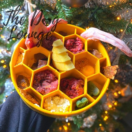 Sodapup Sodapup Honeycomb Slow Feeder Bowl Sodapup Sodapup Honeycomb Slow Feeder Bowl