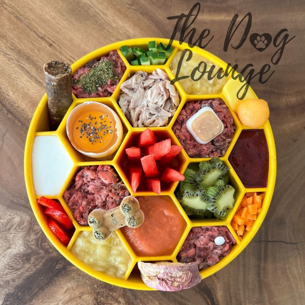 Sodapup Sodapup Honeycomb Slow Feeder Bowl Sodapup Sodapup Honeycomb Slow Feeder Bowl