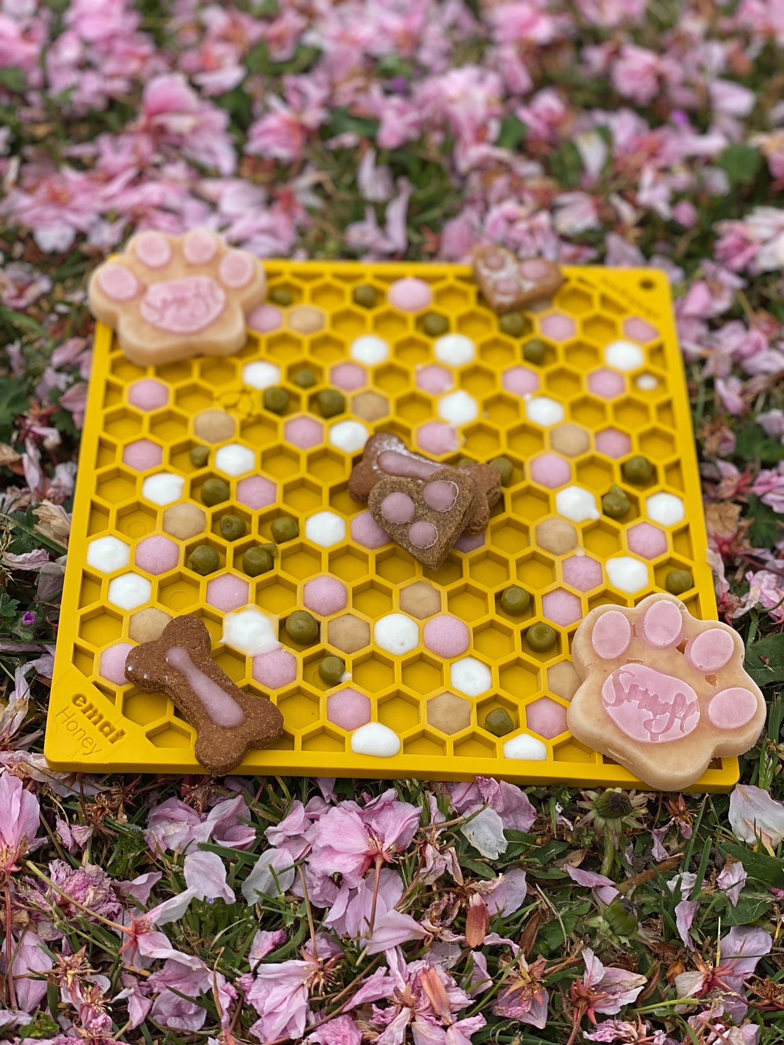 Een likmat voor de hond