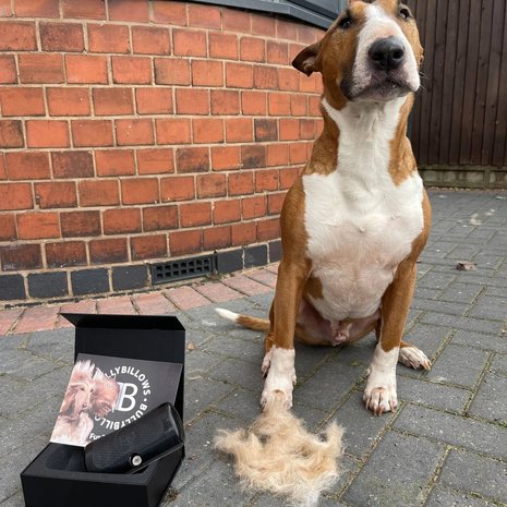 BullyBillows BullyBillows Complete Animal Deshedding Kit - Pink BullyBillows BullyBillows Complete Animal Deshedding Kit - Pink