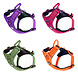 BullyBillows Bullybillows Lightweight Mesh Air Harness BullyBillows Bullybillows Lightweight Mesh Air Harness