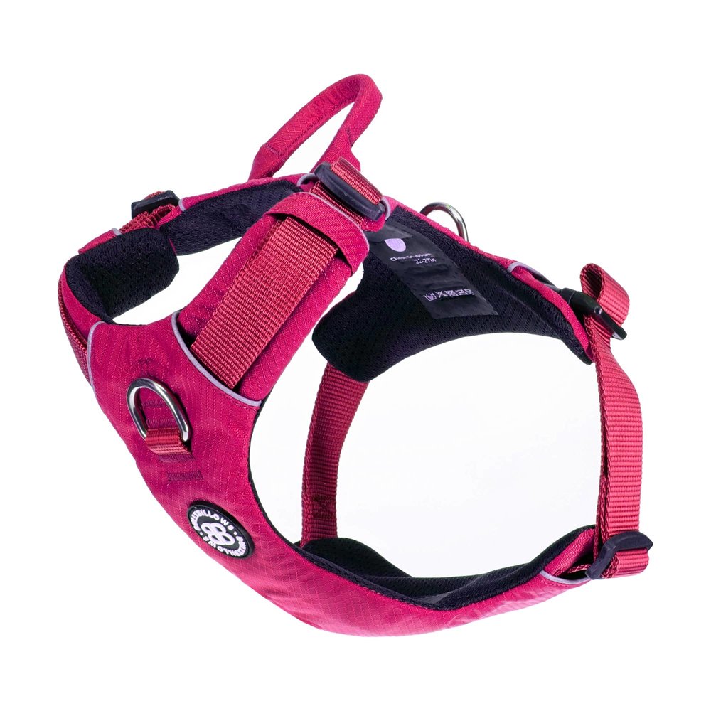 BullyBillows Bullybillows Lightweight Air Harness  (voor klein tot medium formaat hond) BullyBillows Bullybillows Lightweight Air Harness  (voor klein tot medium formaat hond)
