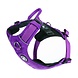 BullyBillows Bullybillows Lightweight Mesh Air Harness BullyBillows Bullybillows Lightweight Mesh Air Harness