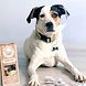 Cooka's Cookies Cooka's Cookies Algarve Secret Cooka's Cookies Cooka's Cookies Algarve Secret