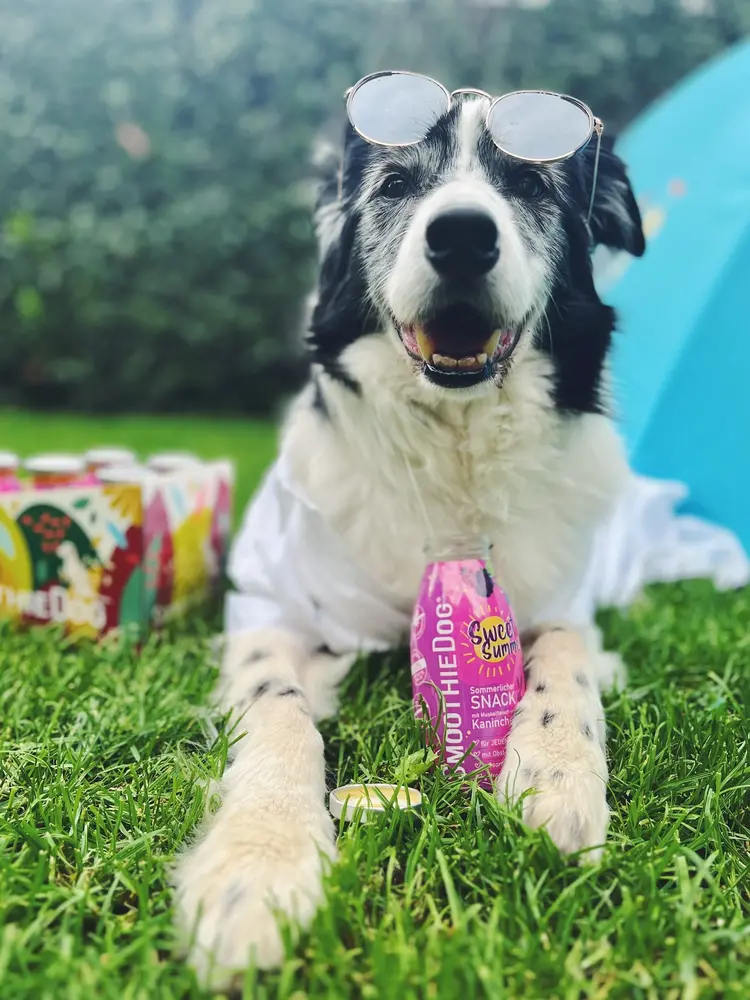 Smoothiedog Smoothiedog Limited Edition Sweet Summer (konijn)