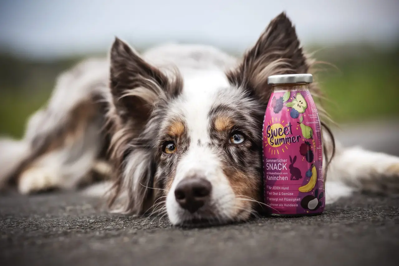 Smoothiedog Smoothiedog Limited Edition Sweet Summer (konijn)