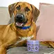 Natural Dog Company Natural Dog Company Allergy and Itch Defense