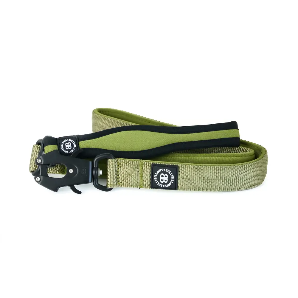 BullyBillows Bullybillows Nylon Combat Padded Leads 1.2m