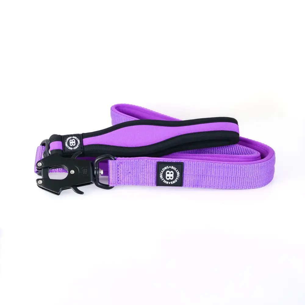 BullyBillows Bullybillows Nylon Combat Padded Leads 1.2m