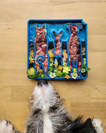 Waiting Dogs Design eTray Enrichment Tray for Dogs